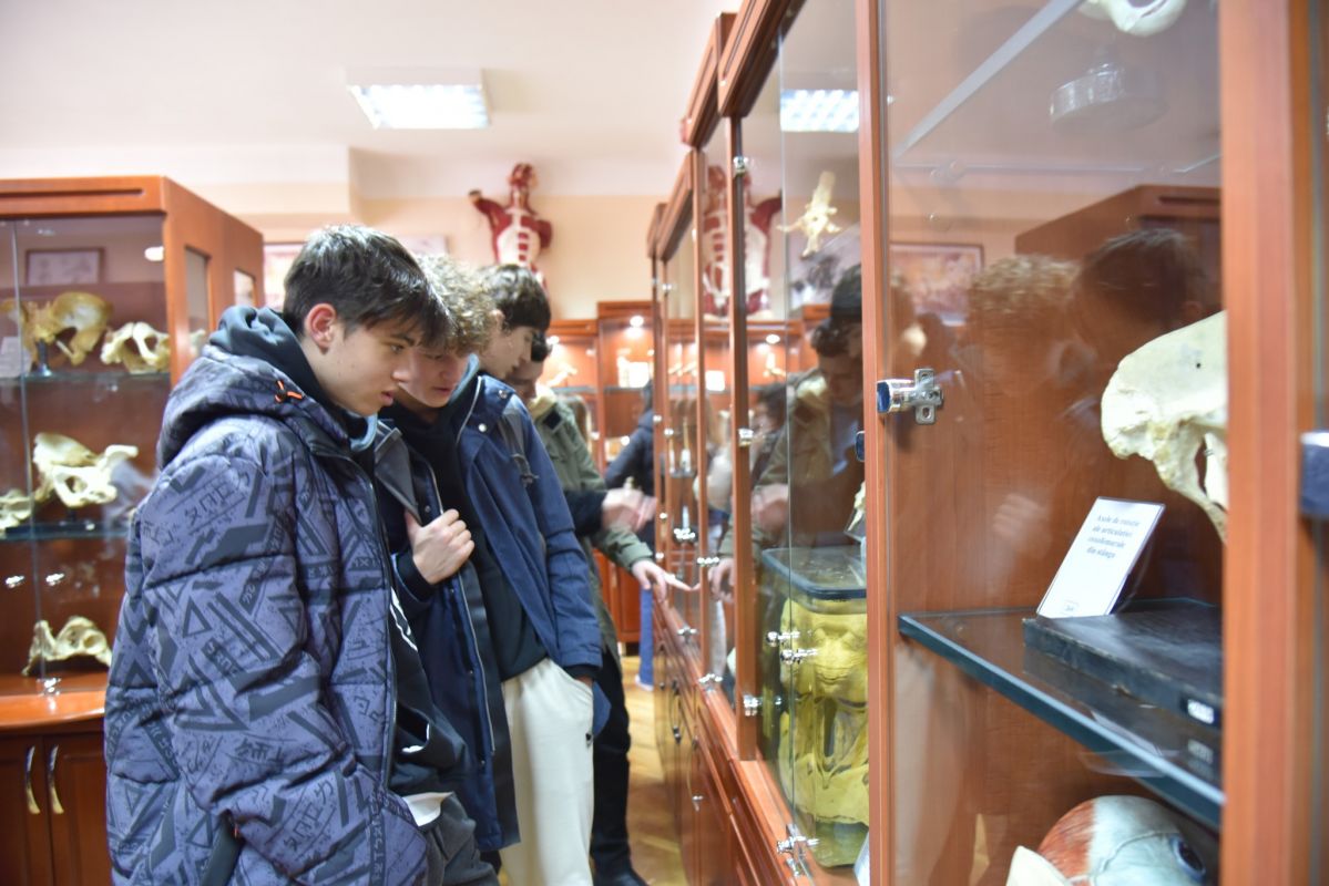 Muzeul de anatomie a omului